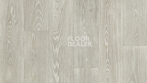 Линолеум Tarkett Philosophy BLANCH 1 фото 1 | FLOORDEALER